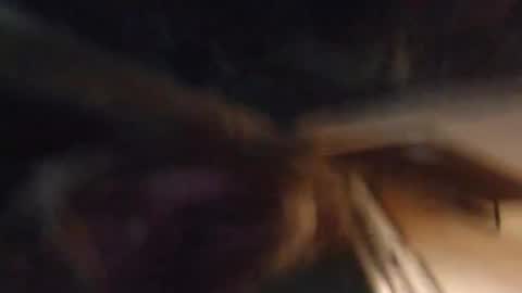 Lucy Vybes and Go-Gert online show from March 2025 07:08:02 AM