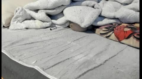 luffykun300 online show from April 2026 12:52:02 AM