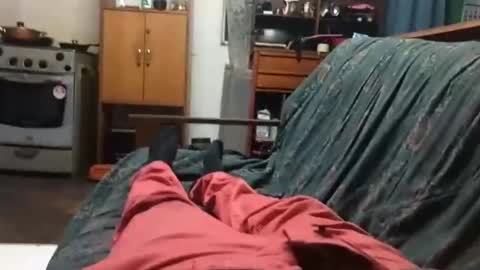 Snapshot of luis20111985 chatting on February 2025 06:56:02 AM luis20111985 online show from February 2025 06:56:02 AM