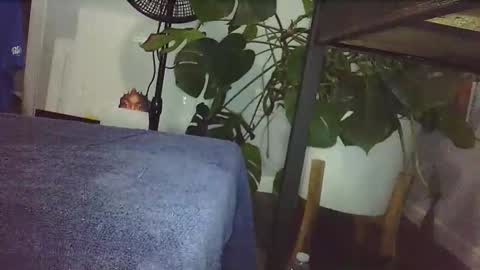 Snapshot of lukesky222 chatting on February 2026 09:00:02 PM Luke online show from February 2026 09:00:02 PM