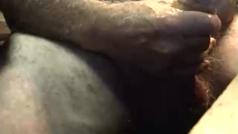 lukestarfckr online show from October 2025 05:50:01 AM