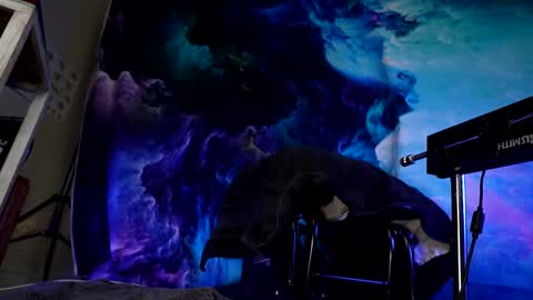 lukewilde online show from February 2025 11:32:02 AM