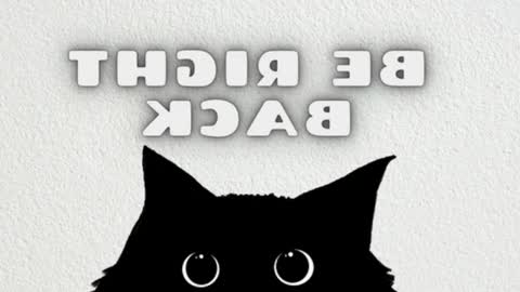 elizabeth online show from March 2026 12:18:01 AM