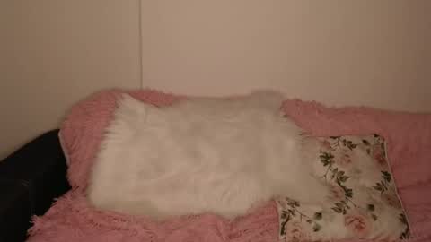 Luna online show from February 2026 06:15:01 PM