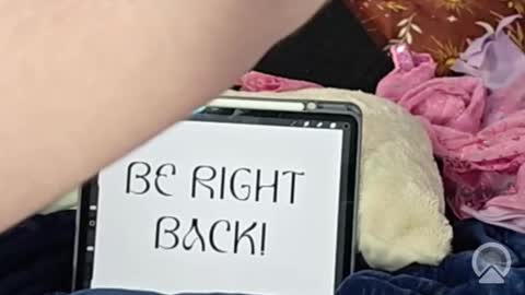 Lunar Fae Stellaris online show from February 2026 02:46:01 PM