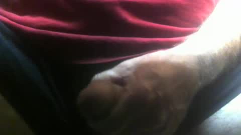 lunatica12 online show from February 2026 04:27:02 AM