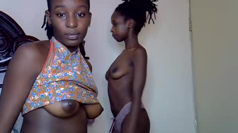 lutino_lovebirds online show from March 2026 11:15:02 AM