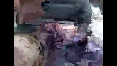 Snapshot of lutorres chatting on November 2025 10:32:01 AM lutorres online show from November 2025 10:32:01 AM