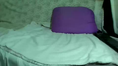 Bee Bee online show from March 2025 03:24:01 AM