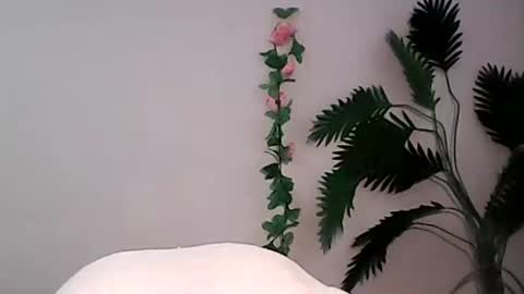 Bee Bee online show from September 2025 01:38:02 AM