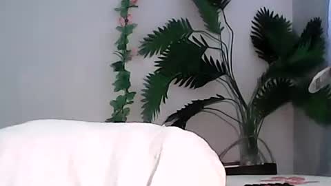 Bee Bee online show from September 2025 05:40:01 AM