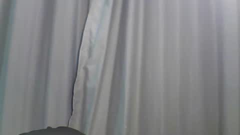 Bee Bee online show from January 2026 01:55:02 AM