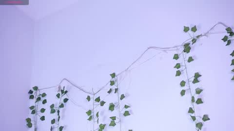 Lyly   online show from January 2026 05:34:02 AM