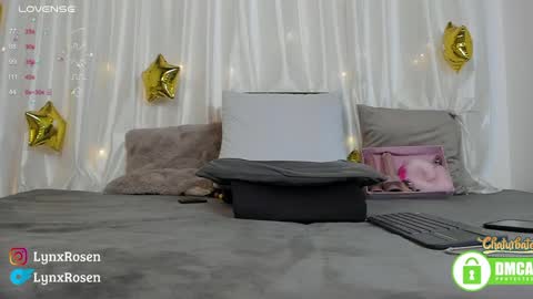 Lynx Rosen online show from December 2024 12:13:01 AM