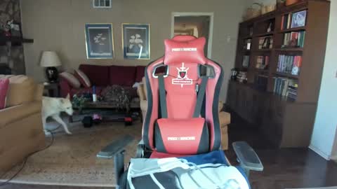 Snapshot of machinecumkelly69 chatting on February 2025 05:58:02 PM machinecumkelly69 online show from February 2025 05:58:02 PM