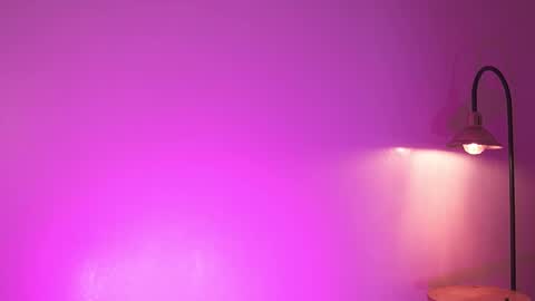 Noah Askew online show from December 2025 07:12:02 PM