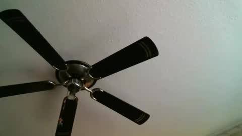 Snapshot of mad_dem0n chatting on January 2025 12:31:01 AM Manuel online show from January 2025 12:31:01 AM