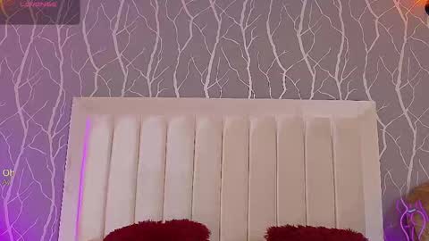    online show from November 2025 01:47:02 PM