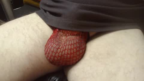 maestro2017 online show from December 2024 08:55:02 PM