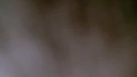 maestronex online show from December 2024 04:22:01 PM