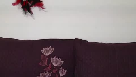 Snapshot of magic_door_open chatting on October 2025 09:11:04 AM magic door open online show from October 2025 09:11:04 AM