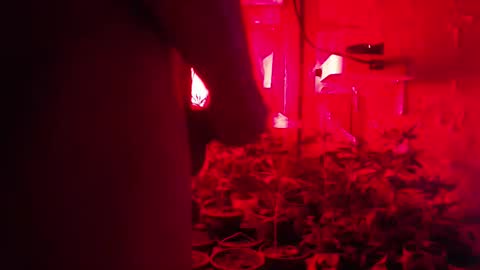 Snapshot of maicom222 chatting on October 2025 02:43:02 AM SILVA online show from October 2025 02:43:02 AM