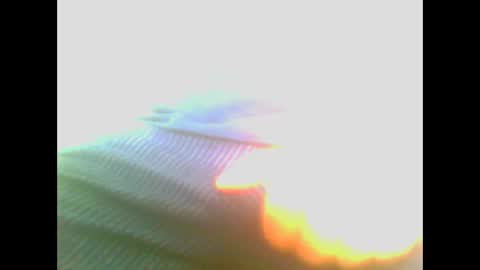 Snapshot of maioris6 chatting on February 2025 08:07:01 AM maioris6 online show from February 2025 08:07:01 AM