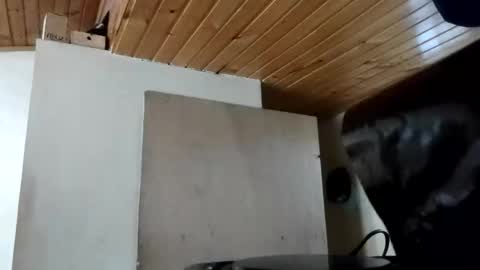 MAITE STONE1 online show from October 2025 11:55:02 AM