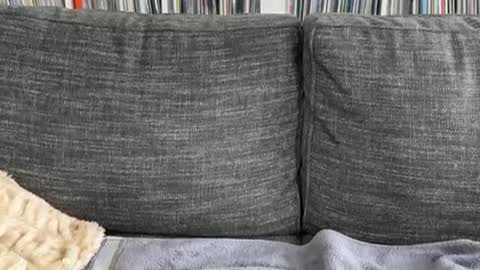 Snapshot of majortazer chatting on December 2024 09:23:01 PM majortazer online show from December 2024 09:23:01 PM