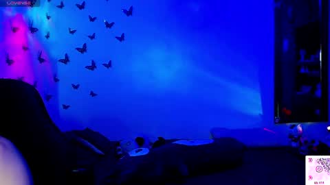   online show from August 2026 03:08:02 AM