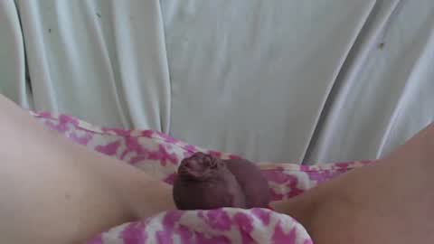 Snapshot of manclitpatsy chatting on February 2025 05:35:01 PM .. .. online show from February 2025 05:35:01 PM