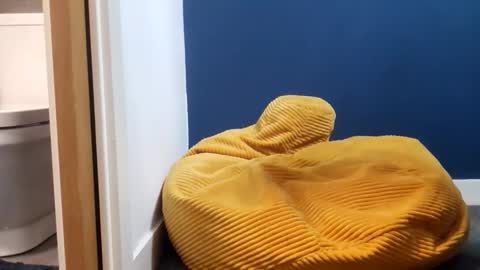 Snapshot of marcoandhoney chatting on February 2026 08:05:01 PM marcoandhoney online show from February 2026 08:05:01 PM