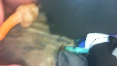 Marc online show from January 2025 10:35:01 PM