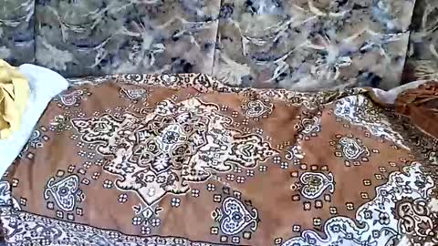 marian20242025 online show from November 2025 07:10:02 AM