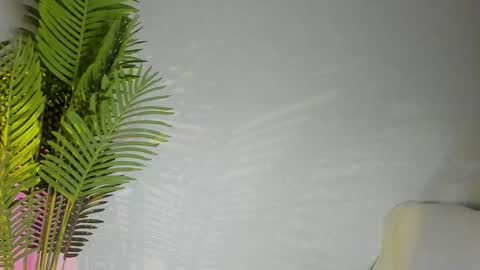 Masha online show from November 2025 07:45:02 PM