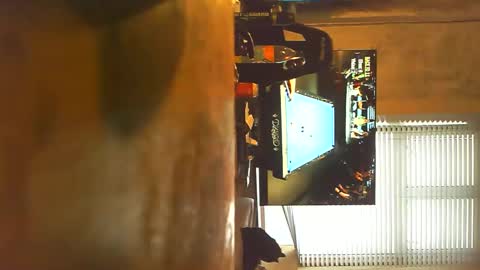 Snapshot of marky5000 chatting on January 2025 01:33:02 PM marky5000 online show from January 2025 01:33:02 PM