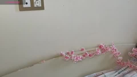 Snapshot of maryrosejansson chatting on May 2026 03:12:01 AM Hi Im Olivia Im new here3 online show from May 2026 03:12:01 AM