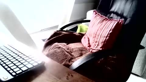 Snapshot of maskime59 chatting on December 2024 09:06:01 AM maskime59 online show from December 2024 09:06:01 AM