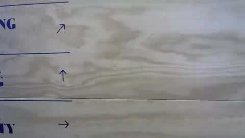 Snapshot of mason_fit chatting on October 2025 02:40:02 PM Mason Andre online show from October 2025 02:40:02 PM