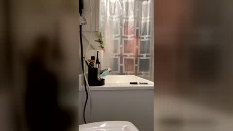 Snapshot of massageartist chatting on January 2026 11:19:01 PM HappyZending online show from January 2026 11:19:01 PM