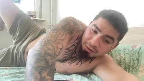    online show from August 2026 11:41:02 AM