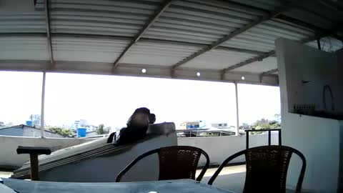 Master Cospi online show from February 2025 02:54:02 PM