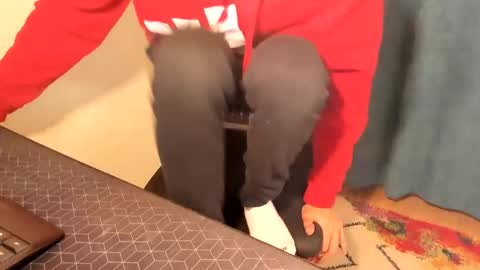 Silly Rabbit  online show from December 2024 08:15:01 PM