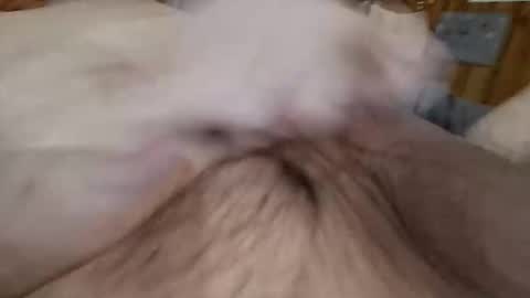 masturbator469658 online show from November 2025 02:50:01 PM