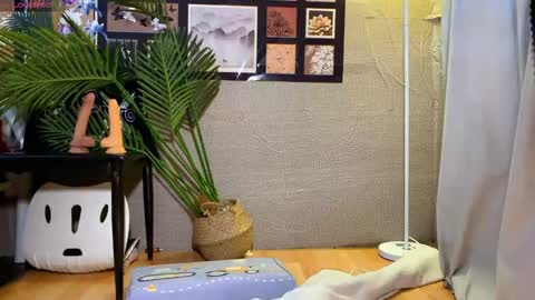 SuSu online show from January 2026 03:32:01 AM