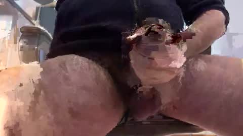 matt online show from January 2026 11:13:01 AM