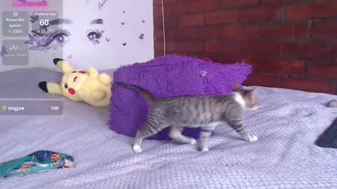 Mature liaa online show from November 2025 03:34:01 PM