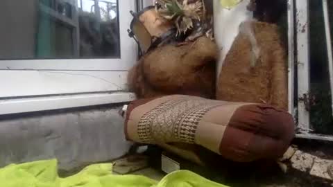 Snapshot of matureman1234 chatting on October 2025 10:06:01 AM matureman1234 online show from October 2025 10:06:01 AM