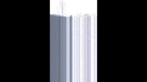 matzs3rvices online show from December 2025 06:38:02 PM