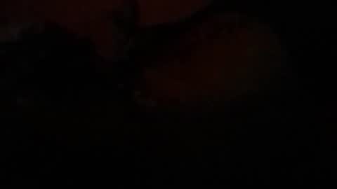 Lira online show from February 2026 07:39:01 AM